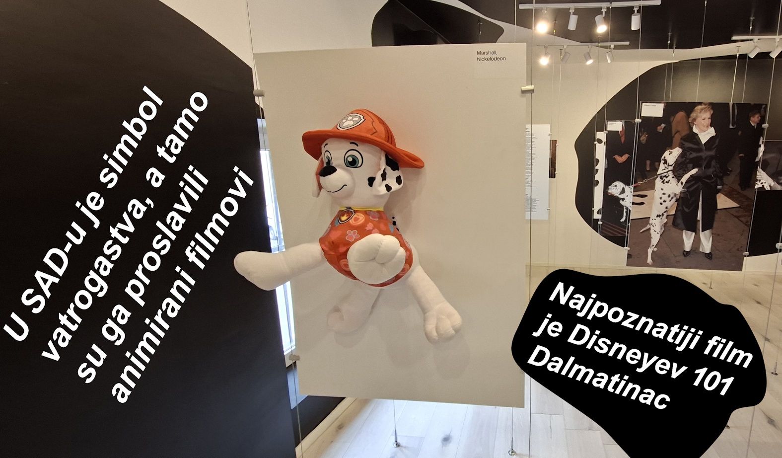 33 GlinciDalmatinci