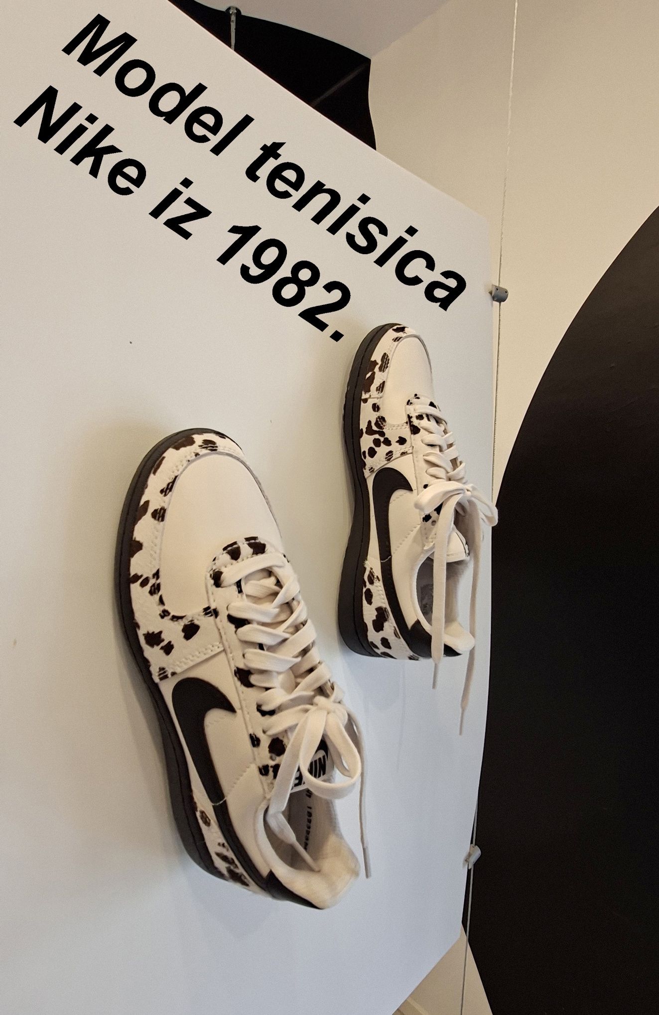 35 GlinciDalmatinci