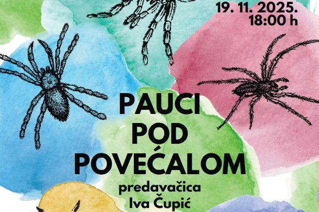 Pauci pod povecalom