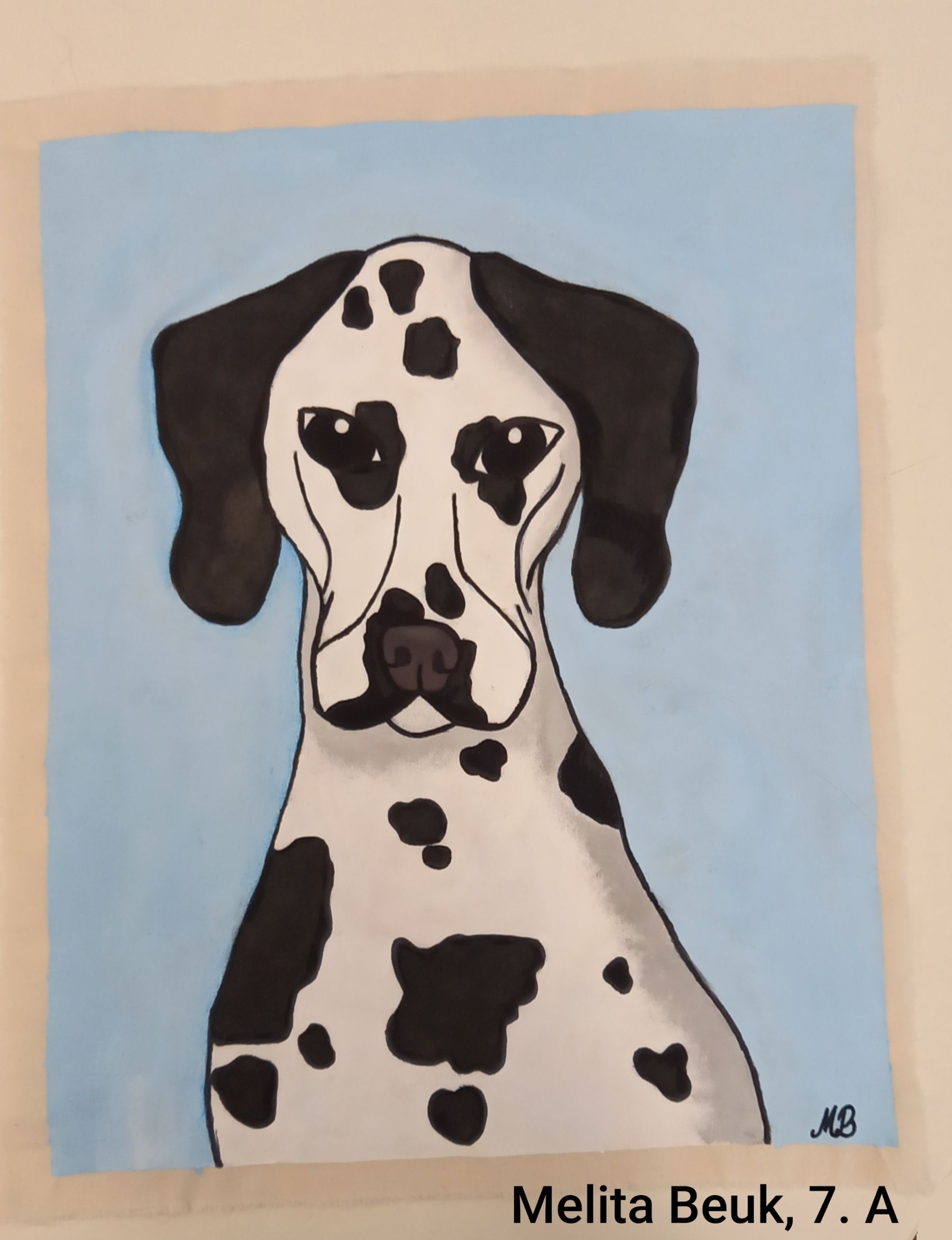 07 Dalmatineri 